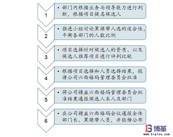 六西格瑪黑帶、綠帶人員的選擇
