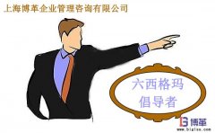 六西格瑪管理中倡導(dǎo)者的職責(zé)是什么？